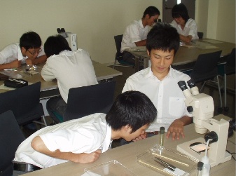 spp2007pic1.jpg