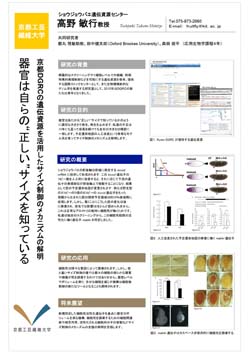 20121123.jpg