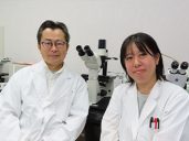 西村香里さんが、日本遺伝学会の熊本大会において、第95回 BEST PAPERS (BP)賞を受賞しました